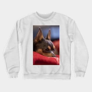 Dog Bertas Crewneck Sweatshirt